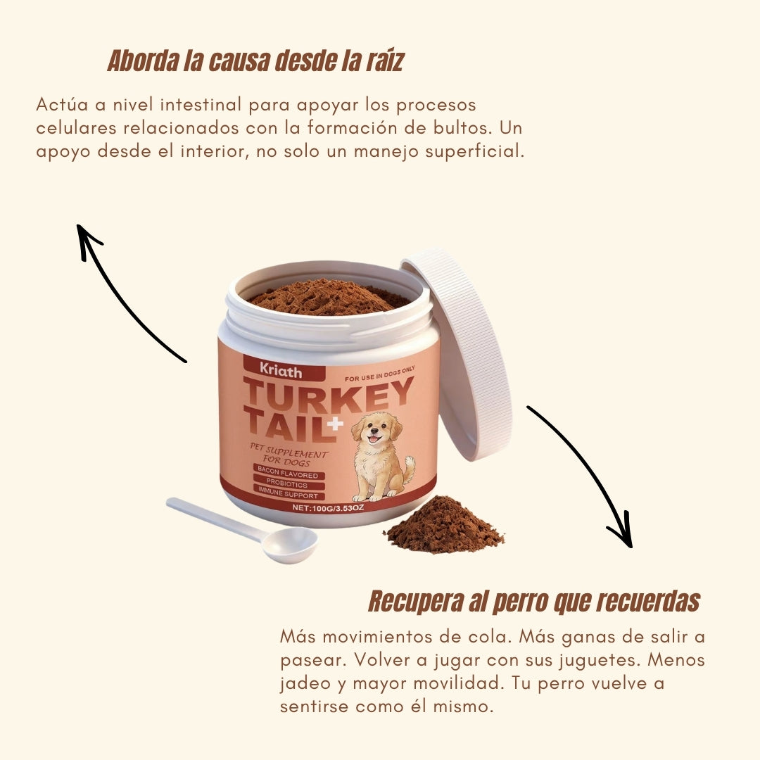 Turkey Tail+ | Suplemento Natural para Perros