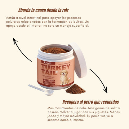 Turkey Tail+ | Suplemento Natural para Perros