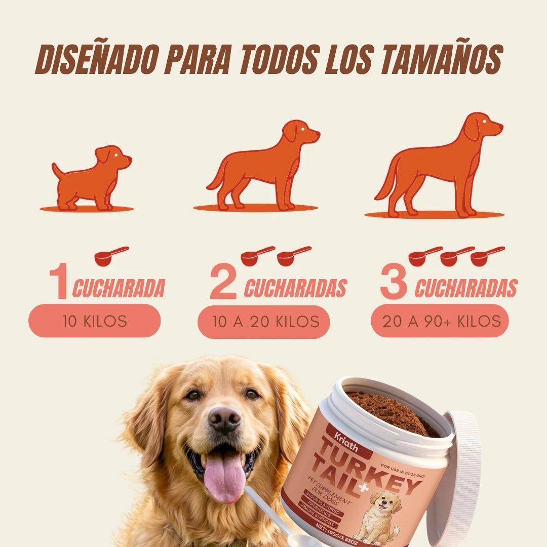 Turkey Tail+ | Suplemento Natural para Perros