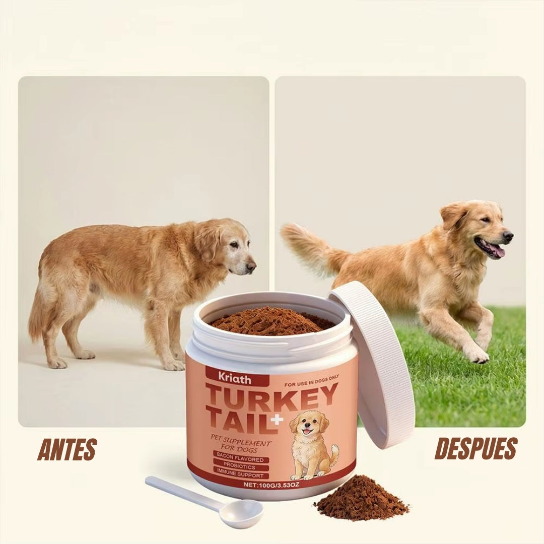 Turkey Tail+ | Suplemento Natural para Perros